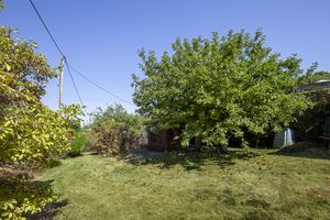 Garden_Culvers(1)- click for photo gallery